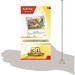 Pokemon 30th Celebration Knock Out Collection - Pokemon TCG