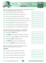 Excel - Year 4 NAPLAN*-style Literacy Tests