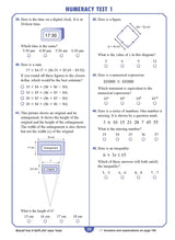 Excel - Year 9 NAPLAN*-style Tests