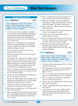 Excel - Year 2 NAPLAN*-style Literacy Tests
