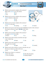 Excel - Year 2 NAPLAN*-style Literacy Tests