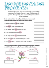Blake's NAPLAN Year 3 Test Guide