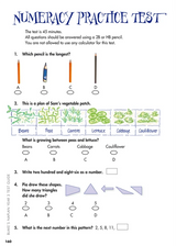 Blake's NAPLAN Year 3 Test Guide