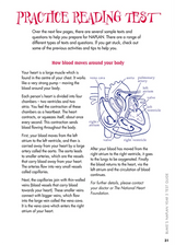 Blake's NAPLAN Year 5 Test Guide