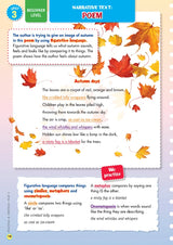 Back to Basics - NAPLAN* Year 3 Reading & Writing