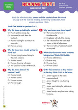 Back to Basics - NAPLAN* Year 3 Reading & Writing
