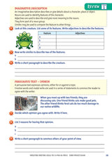 NAPLAN Targeting Writing Skills Year 3