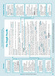 Excel Revise in a Month - Year 6 NAPLAN*-style Tests